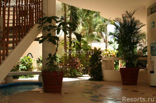Playa Palms Beach Hotel 3